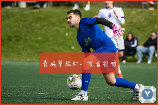 青城草绿时,哨音将鸣