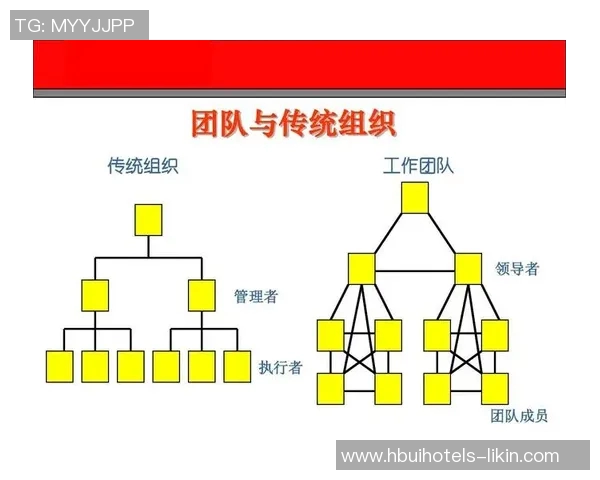深圳乒乓球队在锦标赛中的团队协作表现分析与总结